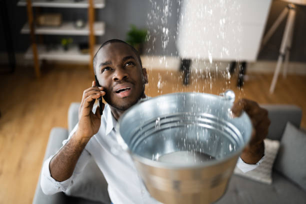Best Residential water damage restoration  in Kalama, WA
