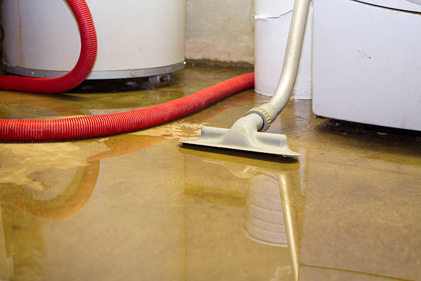 Best Basement water damage restoration  in Kalama, WA
