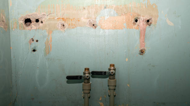 Best Water damage restoration process  in Kalama, WA