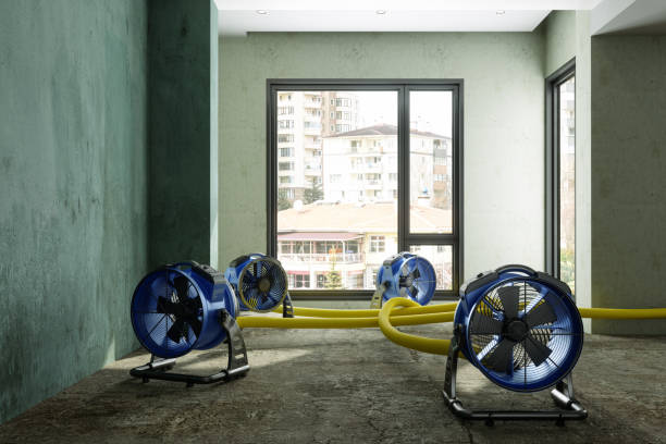 Best Water damage cleanup near me  in Kalama, WA